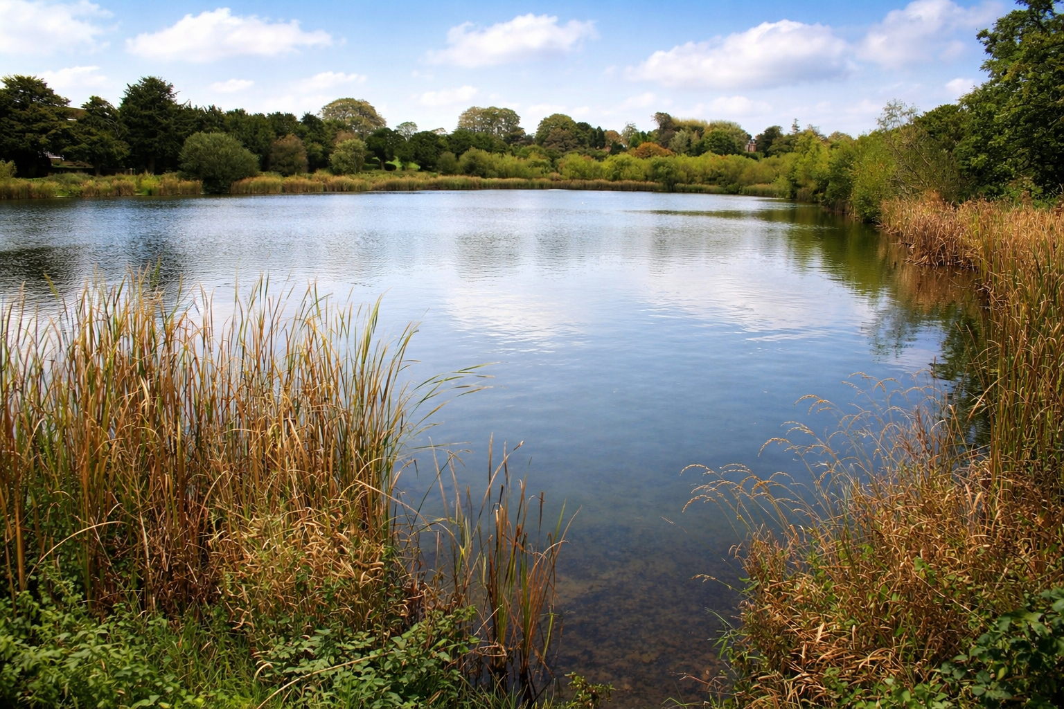Hales Hall Pool managed by North Staffs Angling